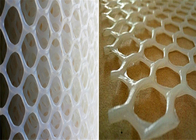 Categoría alimenticia Diamond Hole Food Industry Extruded Mesh Netting plástico