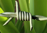 Escoja/el alambre de púas galvanizado torcido doble 12 * el tipo 12 para la protección de la seguridad