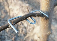 13 cm de longitud Galvanizado de la rama del árbol herramienta de prensado Furit árboles de uso