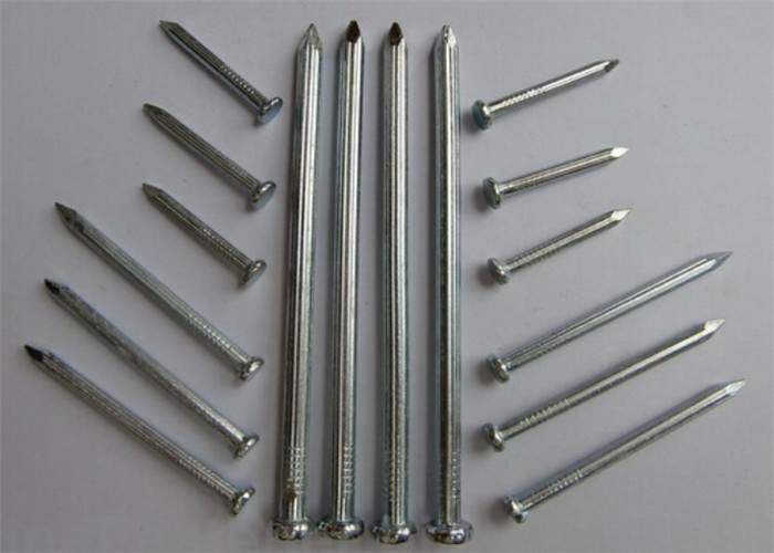 El alambre de metal anticorrosión clava el clavo común del hierro del acero Q195 utilizado para los muebles
